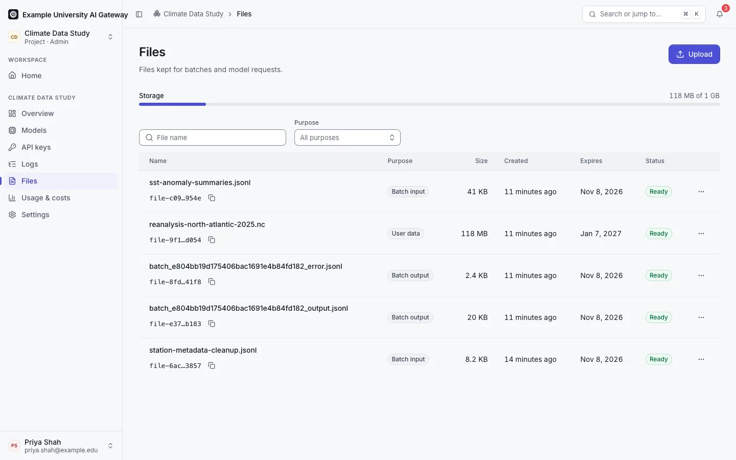 The Files page: batch inputs, a batch result and a user file with purpose, size, created and expiry dates, and a storage bar against the workspace's quota.