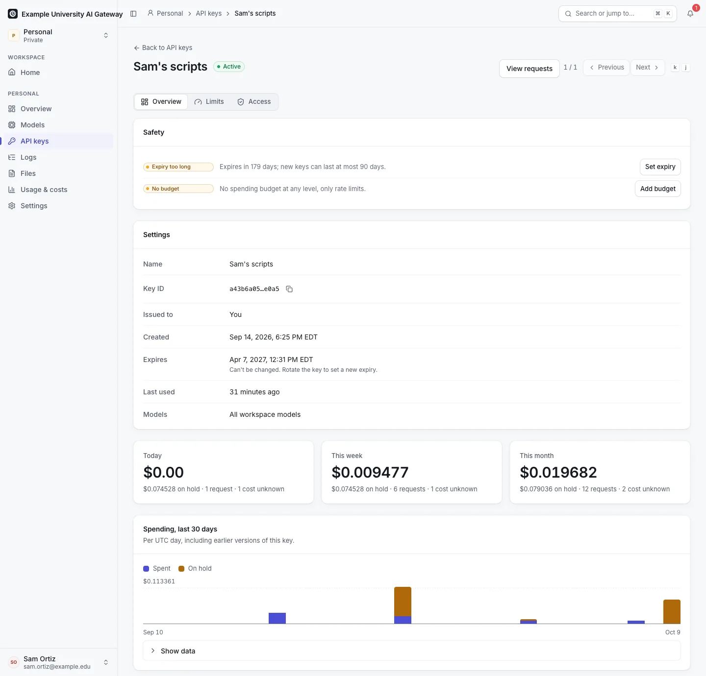 An API key's page: its details, spending today, this week and this month, spending over the last 30 days, and a Safety card listing the findings "Expiry too long" and "No budget".
