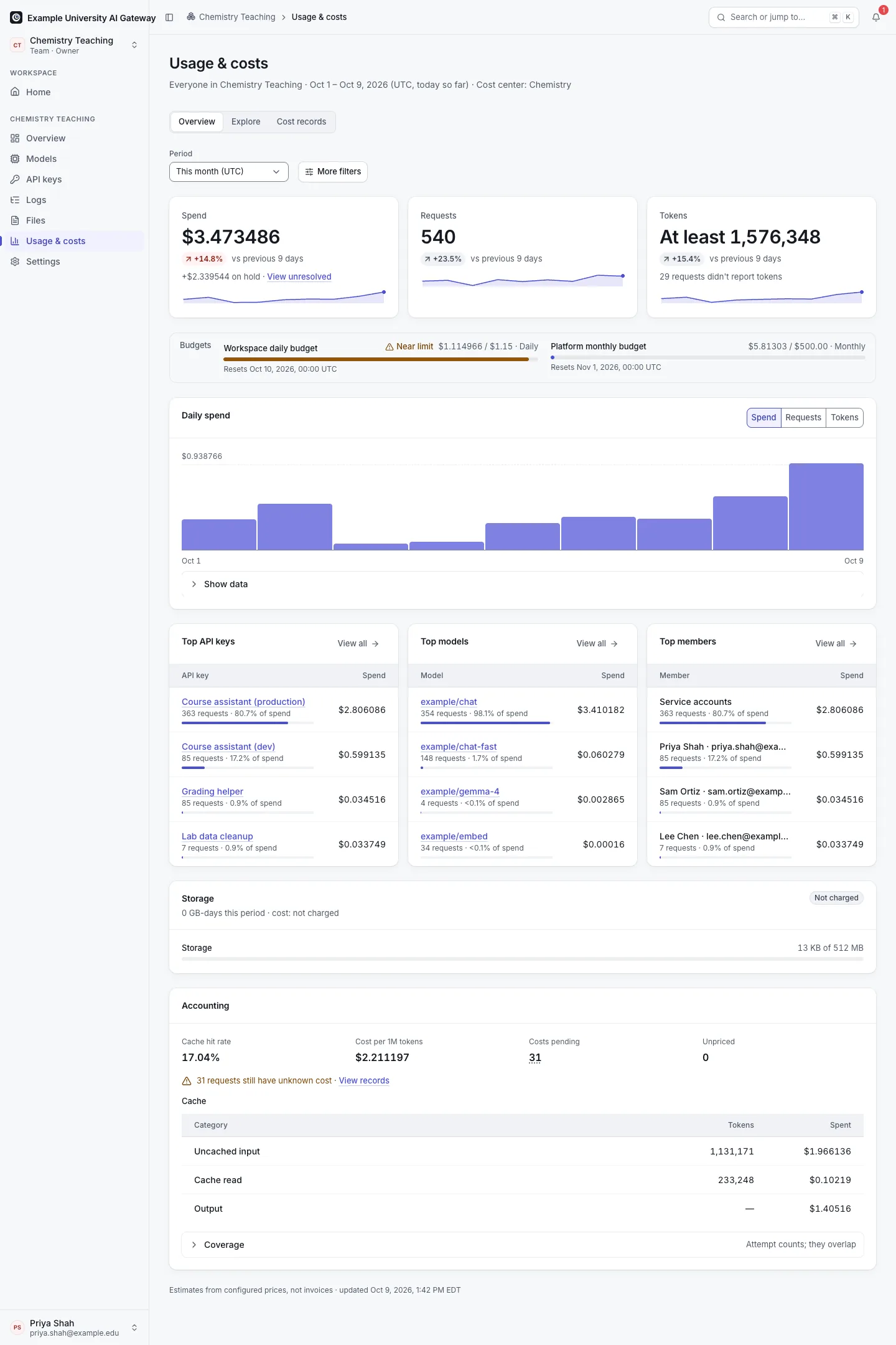 Usage and costs overview: spend with the amount on hold, requests, tokens, cache hit rate and cost per million tokens, a daily chart, and top models, keys and members.