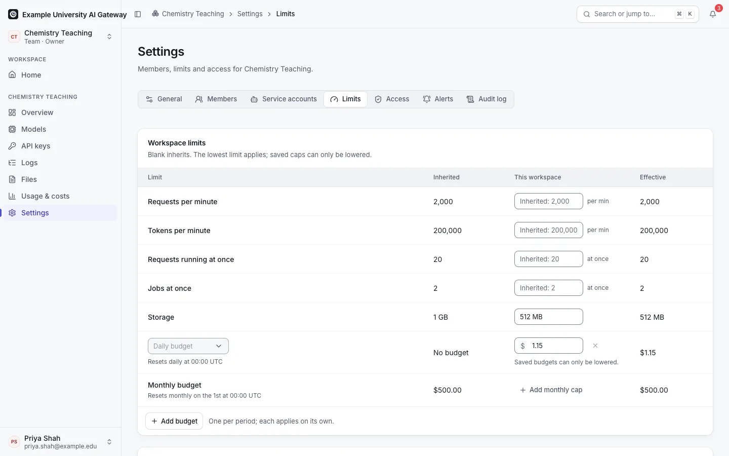 A Team's Limits tab: the platform's limits and the Team's own tighter limits, with how much of each budget window is used.